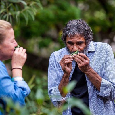 Alex Bond of the Aboriginal Environments Research Centre teaches students about native plants on the UQ campus